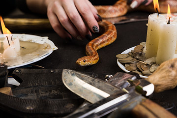 A woman will hold her hand to a snake