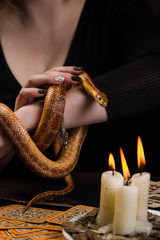 The snake curled in rings on the hand of the fortuneteller