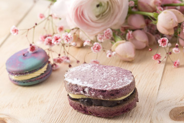 macaroon. Sweet macarons on wood background with copy space. Top view