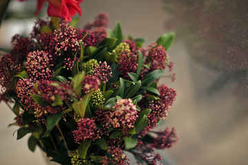 flower, nature, garden, pink, lilac, plant, spring, purple, flowers, green, blossom, summer, bloom, beauty, blooming, bush, petal, floral, red, flora, leaf, tree, macro, color, botany