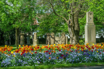 Frühling im Alten Friedhof in Heilbronn