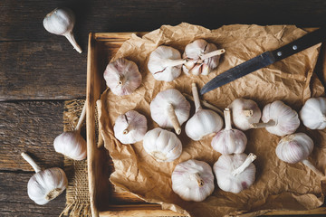 Garlic bulbs from Vietnam
