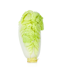 Chinese cabbage on white background