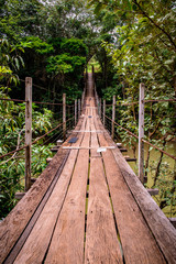 Suspension wood bridge