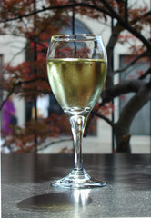 Isolated close up of chilled white wine with condensation on wine glass in outdoor patio