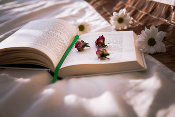 Read the book. Learning in our lives.