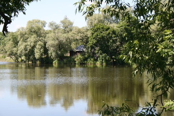 Летний пейзаж на берегу реки