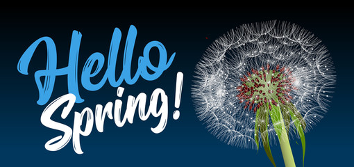 Text message hello spring, against a background of a spring landscape with a dandelion close-up © Maxim P
