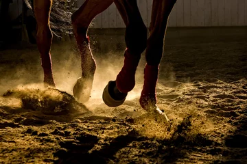 Deurstickers Detail van een paardentraining in een manege in Roemenië, stof en tegenlicht © SilviuFlorin