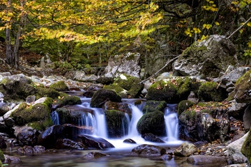 Small mountain creek with mossy waterfalls shot in the middle of a fall foliage forest in Romania