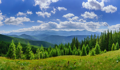 Panorama of beautiful wooded hills.