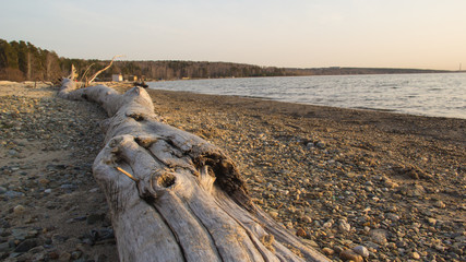 "On The Evening Beach"
