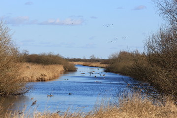 Frühlingserwachen an der Sorge