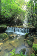 Obraz premium Scenic view of a cool refreshing waterfall hidden in a mysterious forest with sunlight shining through lush greenery and flowers fallen on mossy rocks ~ Beautiful river scenery of Taiwan in springtime