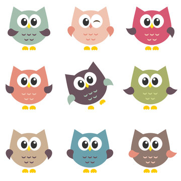 set of cute owls isolated on white background