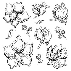 Floral pattern with Orchids. Beautiful golden seamless background. Elegant Hand Drawn vintage illustration