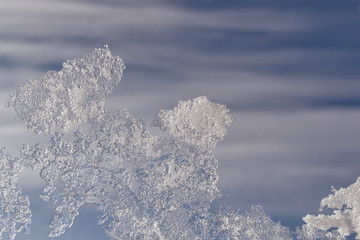 Fototapeta na wymiar Spring background with icicles.