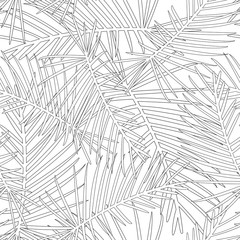 Tropical Leaves Outline on White Background