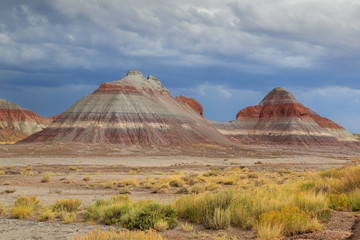 Painted desert