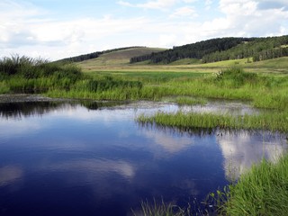 landscape with a lake and a field