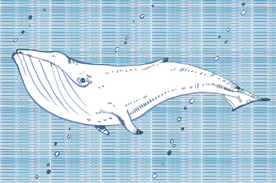 watercolor whale illustration on blue background
