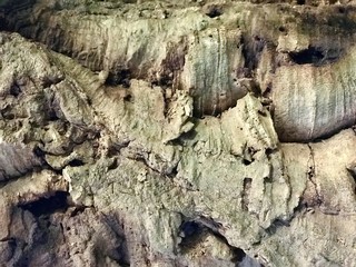 Texture of gray and green stone
