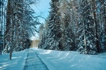 winter rural landscape