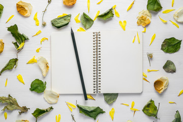 An open blank notebook and a black pencil on a white wooden background among dry leaves and flower.
