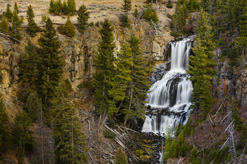 Undine Falls in Yellowstone National Park