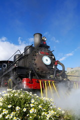 Fototapeta na wymiar Old Patagonian Express