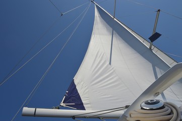 Good winds stretch the sail and the regatta can start.