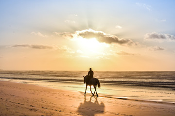 Horse Ride in front of the Sea in full Sunset, Moroccan coast, Casablanca, Morocco