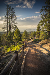  Trail at sunset behind the Bryce - Brice - Utah - Usa