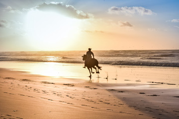 Horse Ride in front of the Sea in full Sunset, Moroccan coast, Casablanca, Morocco