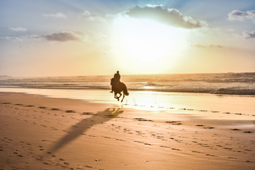 Horse Ride in front of the Sea in full Sunset, Moroccan coast, Casablanca, Morocco