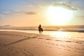 Horse Ride in front of the Sea in full Sunset, Moroccan coast, Casablanca, Morocco