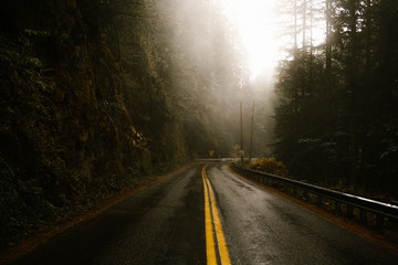 Wet Road Through A Misty and Dark Forest - 197378271