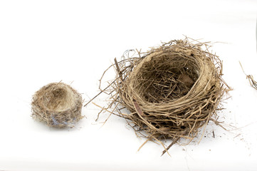 Obraz premium two empty bird nest on white