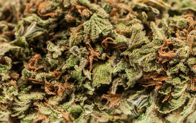 Marijuana flower