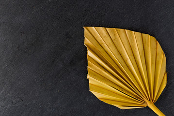 palm leaves on a black structured surface