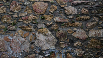 Antique stone wall texture with green plants growing in between different sized rocks - Eroded old wall with signs of white and blue paint