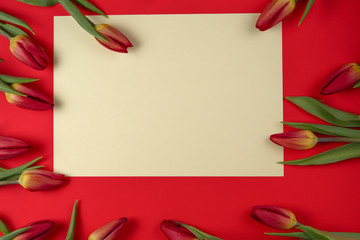 Fototapeta na wymiar Spring tulip flowers and paper card on red background.