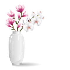 Pink and white magnolia flowers in vase. Realistic vector illustration of blooming magnolia branches in white vase on white background.