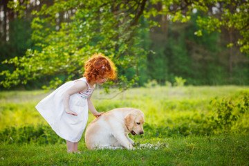 LIttle curly girl playing with big dog in summet day on nature background