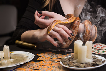A snake in the hands of a witch and a fading candle