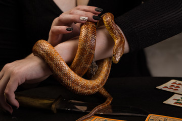 The snake wrapped around the rings around the amulet