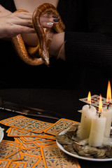 The snake stuck out her tongue in the witch's hands