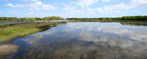 Fototapeta na wymiar Beautiful Green Cay Preserve Wetland in Boynton Beach, Florida, USA.