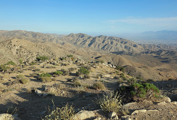 Coachella Valley in Joshua Tree National Park. California. USA