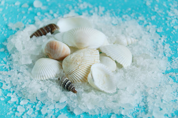 Obraz na płótnie Canvas Shells on white sea salt on a turquoise background